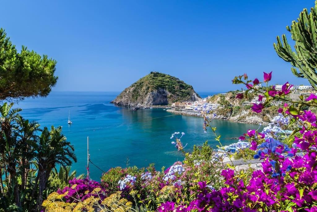 Il Vicoletto Sul Mare